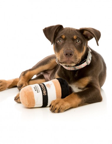 FUZZYARD Puppuccino Coffee - Peluche para perro