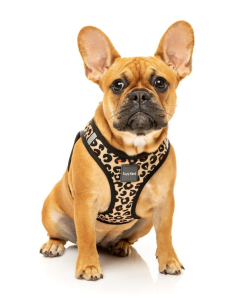 FUZZYARD Arnés Step In Javan - Para Perros 2