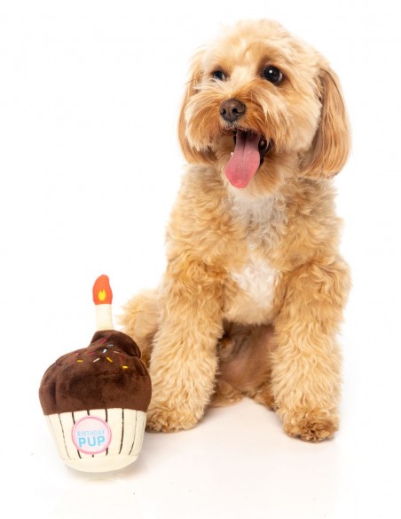 FUZZYARD Birthday Cupcake - Peluche para perro