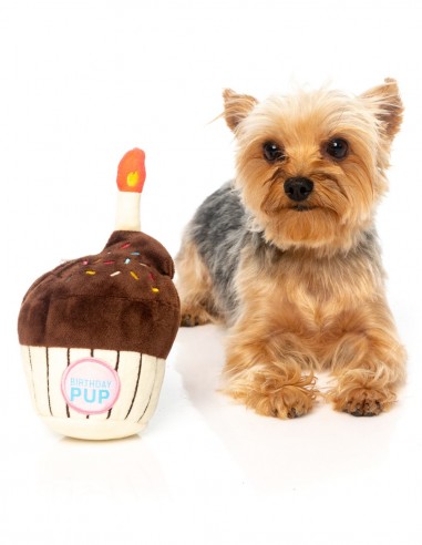 FUZZYARD Birthday Cupcake - Peluche para perro