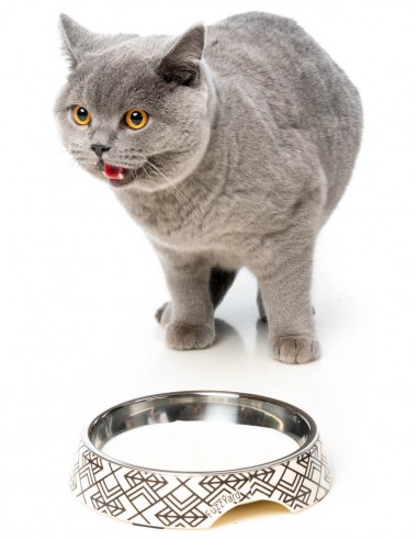 FUZZYARD Gatsby - Comedero Plano para gatos