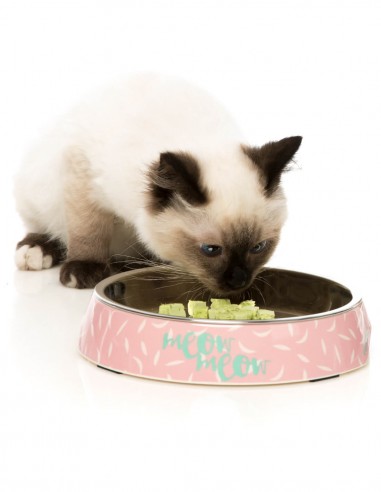 FUZZYARD Featherstorm - Comedero Plano para Gatos