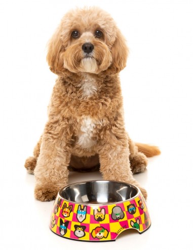 FUZZYARD Comedero Doggoforce - Para Perros