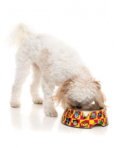 FUZZYARD Comedero Doggoforce - Para Perros