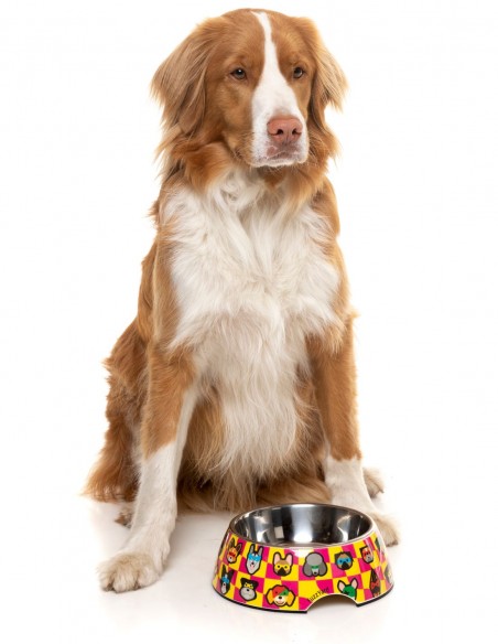 FUZZYARD Comedero Doggoforce - Para Perros