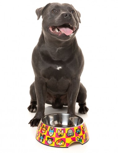 FUZZYARD Comedero Doggoforce - Para Perros