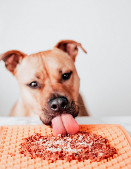 MR. BONES Toppers Pechuga de Pollo 100g - Para Perros y Gatos