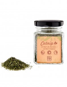 Catnip Natural en Polvo 10g - Para Gatos