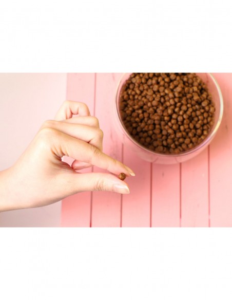 KIT CAT Pienso Pato y Pavo 1kg - Para KITTEN