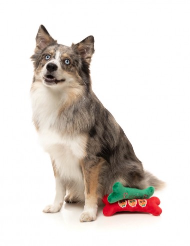 FuzzYard Xmas Toy - Christmutts Homies Bones...