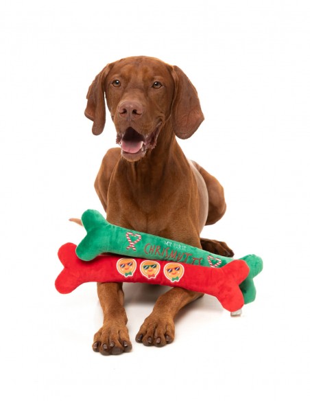 FuzzYard Xmas Toy - Christmutts Homies Bones 2PK - L