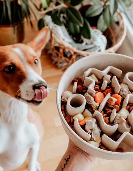 District 70 Comedero Antivoracidad Bambú Merengue M - Para Perros