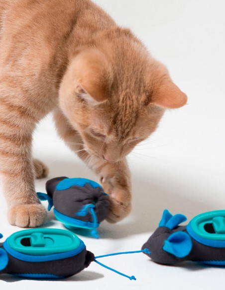 Caza Ratón con Premios - Juguete Interactivo para Gatos
