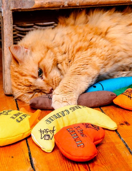 KING CATNIP Palito con Catnip 100% Orgánico - Juguete para Gatos