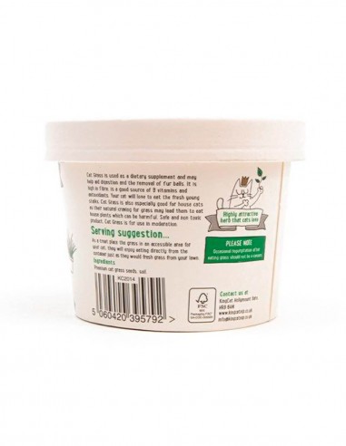 KING CATNIP Kit Germinador de Hierba Gatera 12g...