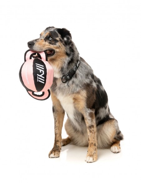 FUZZYARD Active Pelota TUG Rosa - Juguete para Perros