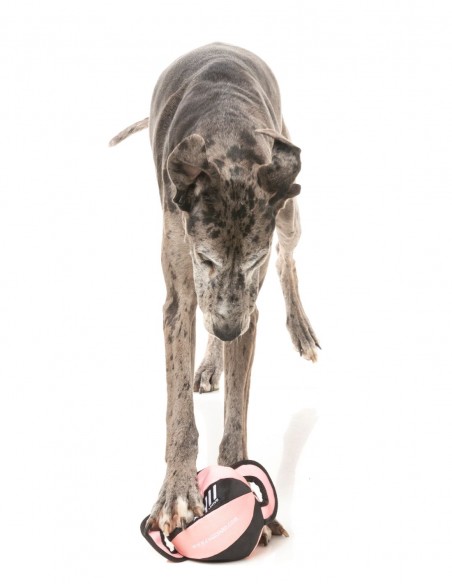 FUZZYARD Active Pelota TUG Rosa - Juguete para Perros