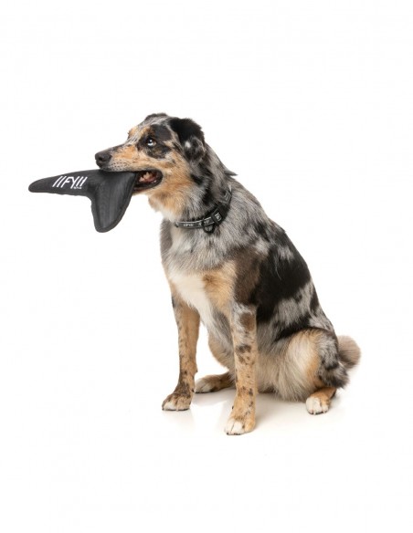 FUZZYARD Active Flyer Negro - Juguete para Perros