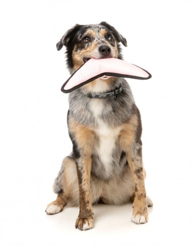 FUZZYARD Active Flyer Rosa - Juguete para Perros