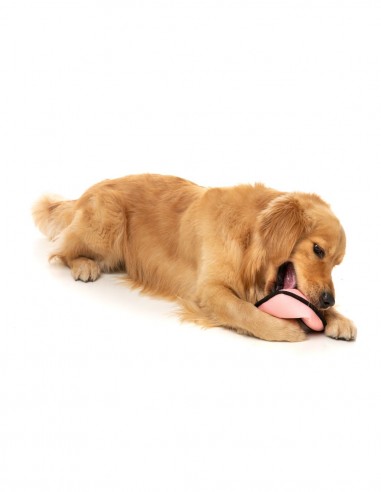 FUZZYARD Active Flyer Rosa - Juguete para Perros