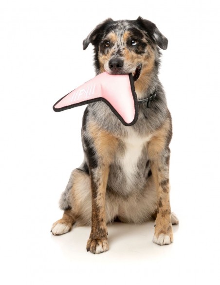 FUZZYARD Active Flyer Rosa - Juguete para Perros