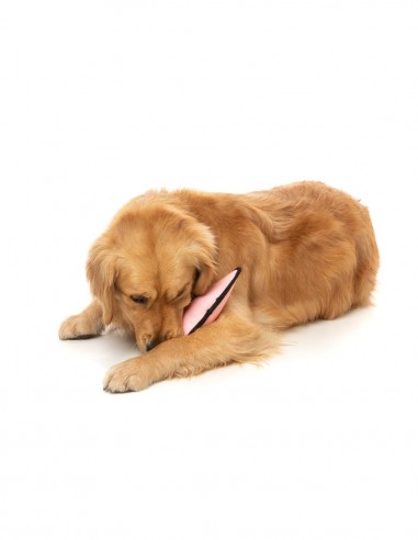FUZZYARD Active Flyer Rosa - Juguete para Perros