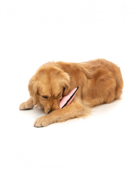 FUZZYARD Active Flyer Rosa - Juguete para Perros