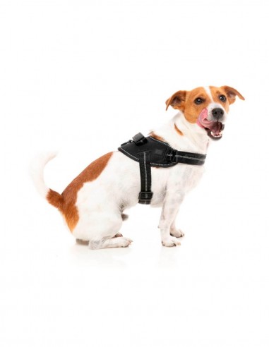 FuzzYard Arnés Flash Blackout XL