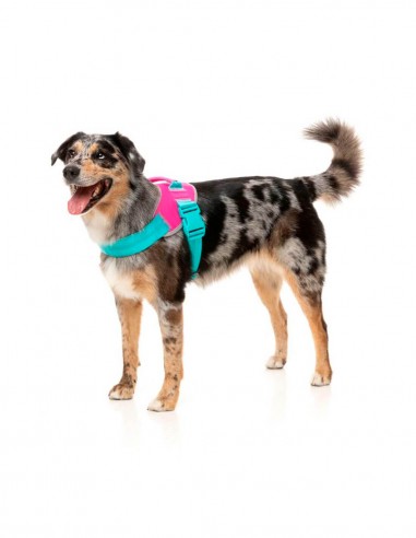 FuzzYard Arnés Flash Bubblegum S