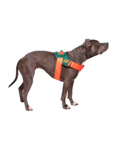 FuzzYard Arnés Flash Commando XL