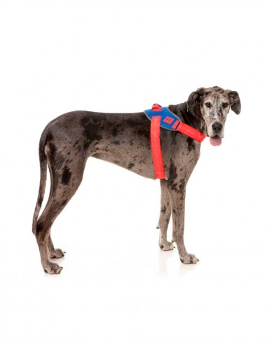 FuzzYard Arnés Flash Patriot M