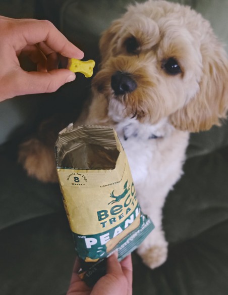 BECO Cacahuete, Coco y Cúrcuma 70g - Snack Para Perros