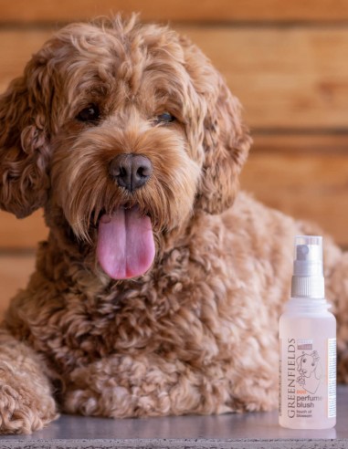 Greenfields Blush 75 ml - Bruma para Perros