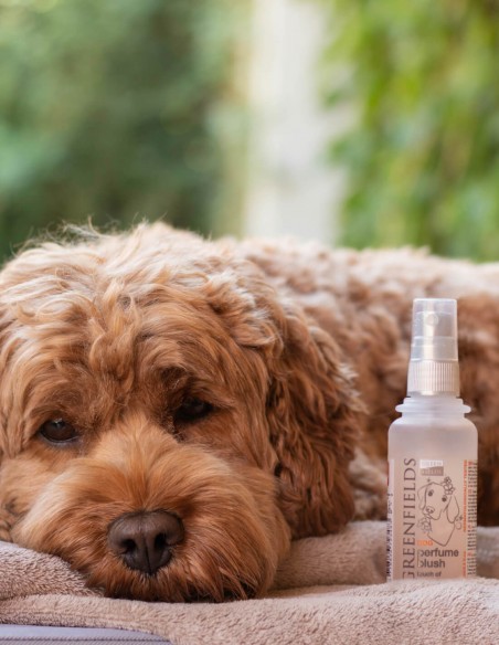 Greenfields Blush 75 ml - Bruma para Perros