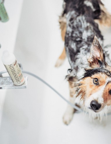 Greenfields 270 ml - Champú y Acondicionador...