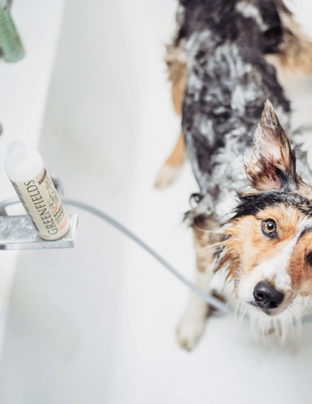 Greenfields 270 ml - Champú y Acondicionador para Perros