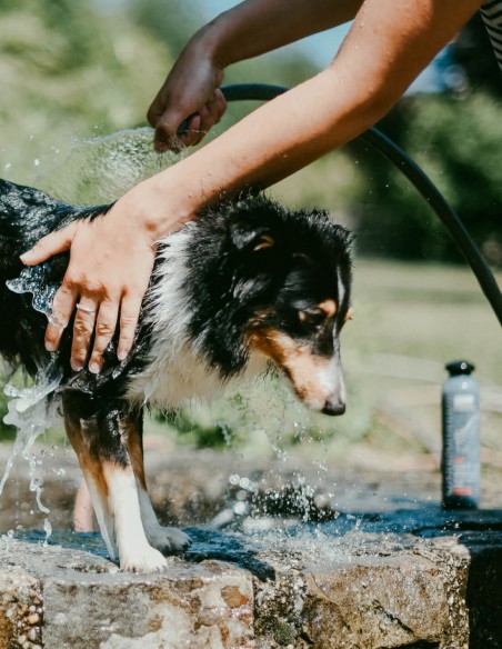 Greenfields Pelaje Oscuro 270 ml - Champú para Perros