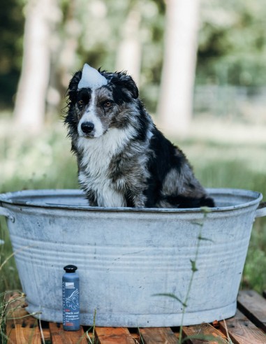 Greenfields Pelaje Oscuro 270 ml - Champú para...