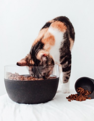 District 70 Tarro de Almacenamiento de Bambú Negro