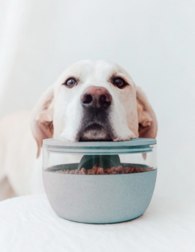 District 70 Tarro de Almacenamiento de Bambú...