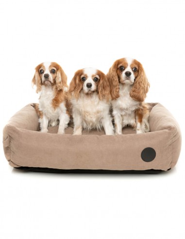 FUZZYARD Mocha - Cama Lounge para perro