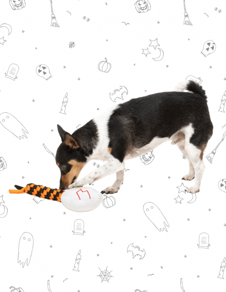 FuzzYard Halloween - Eyeleen