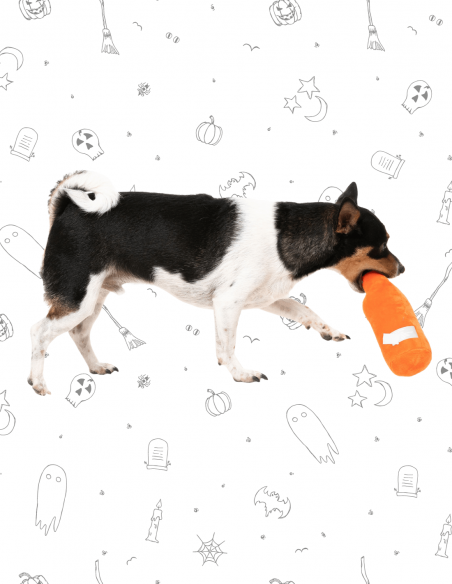 FuzzYard Halloween - Trick or Treat Yourself Brew