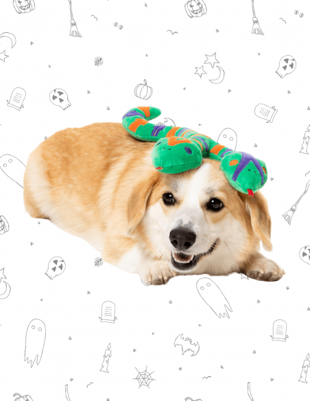 FuzzYard Halloween - Hissy Elliot L