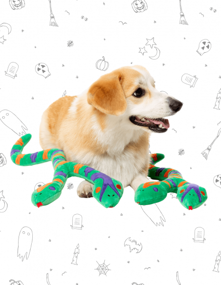 FuzzYard Halloween - Hissy Elliot L