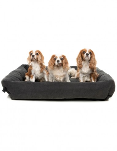 FUZZYARD Charcoal - Cama Lounge para perro