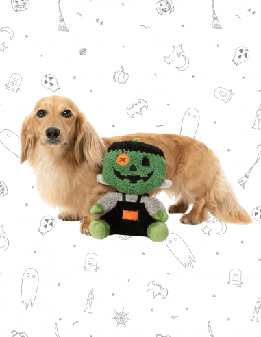 FuzzYard Halloween - Jack-O Chan Frankenstein L