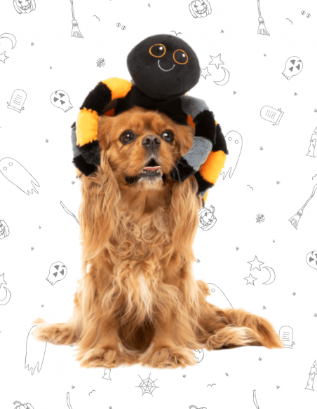 FuzzYard Halloween - Terri Tarantula