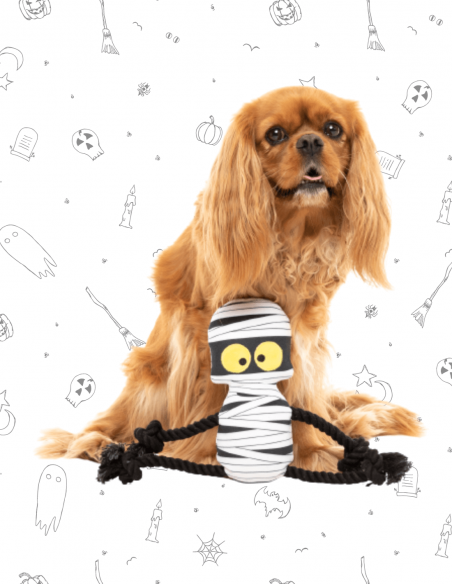 FuzzYard Halloween - Ryan Gauze - Ling Doll Rope