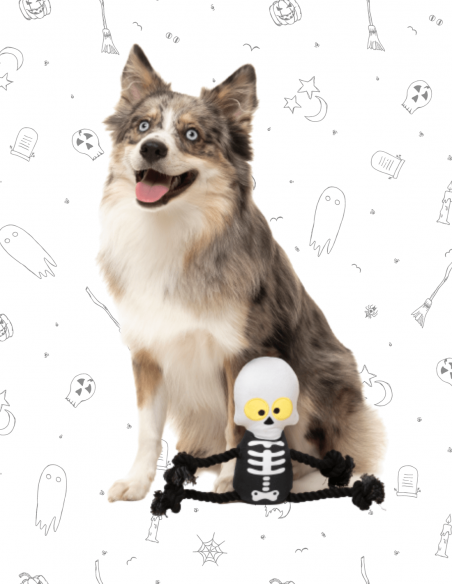FuzzYard Halloween - Indiana Bones Rope